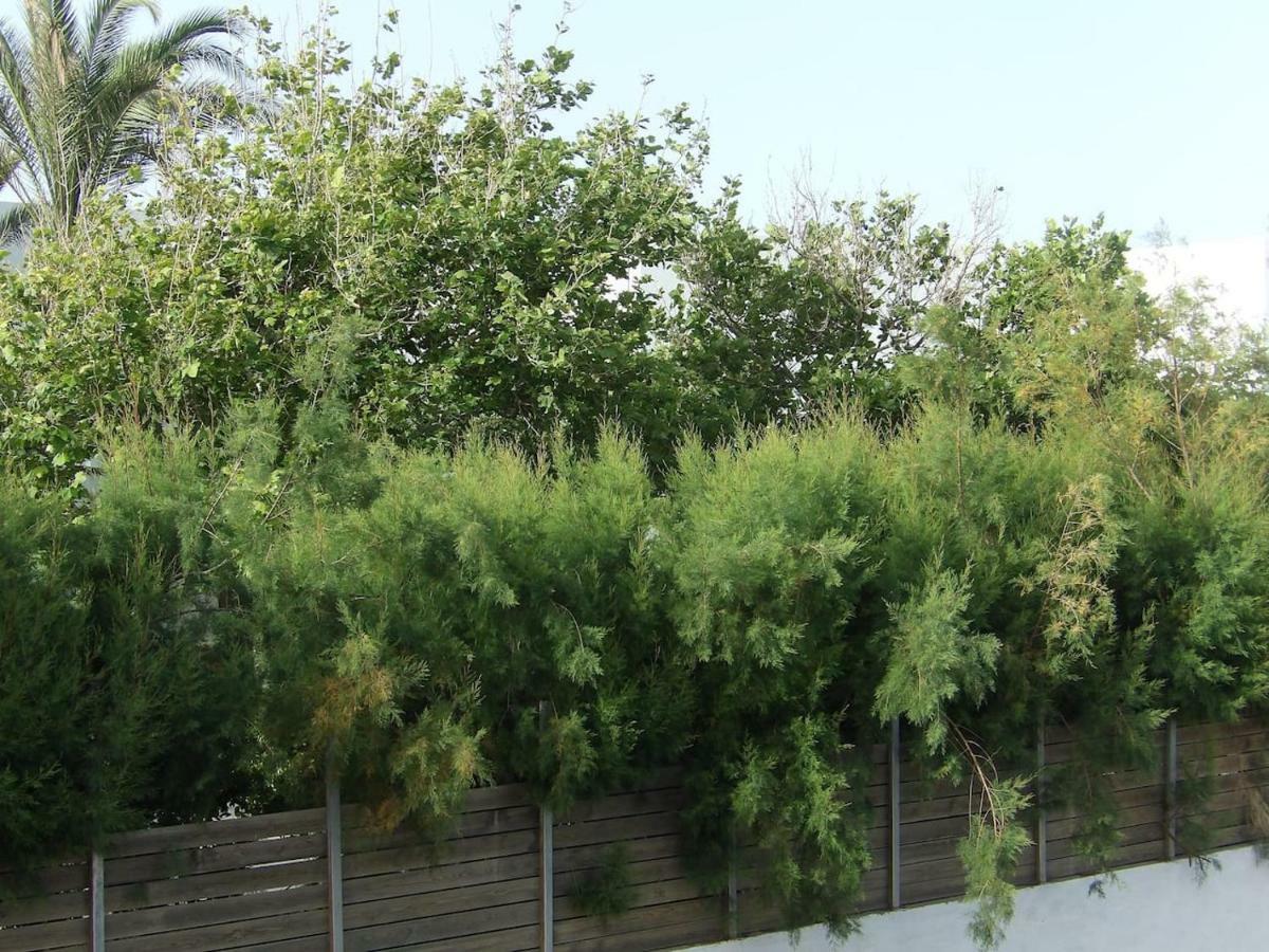 Apartamento Teo 2 Gouves Exterior foto